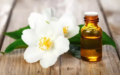 Aceite de árbol de té: un aliado natural para el cuidado del cutis