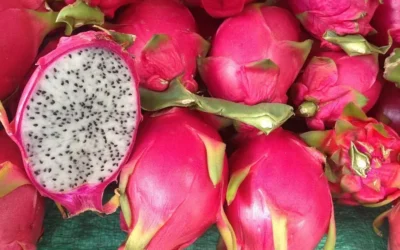 Pitaya o Pitahaya: descubre las cualidades de la «Fruta del Dragón»
