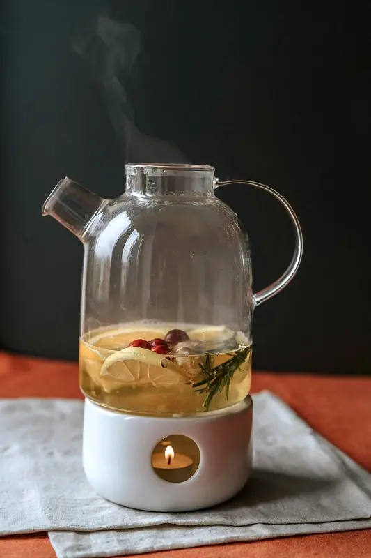 Infusión de arándanos