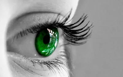 ¿Hacer crecer las pestañas? Un remedio lo hace en sólo 2 meses