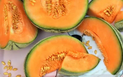 Melón: la fruta ideal para adelgazar y comer después del ejercicio