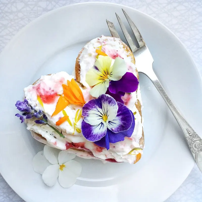 Torta light