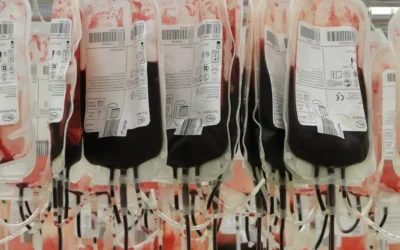 La sangre artificial: una revolución en ciernes