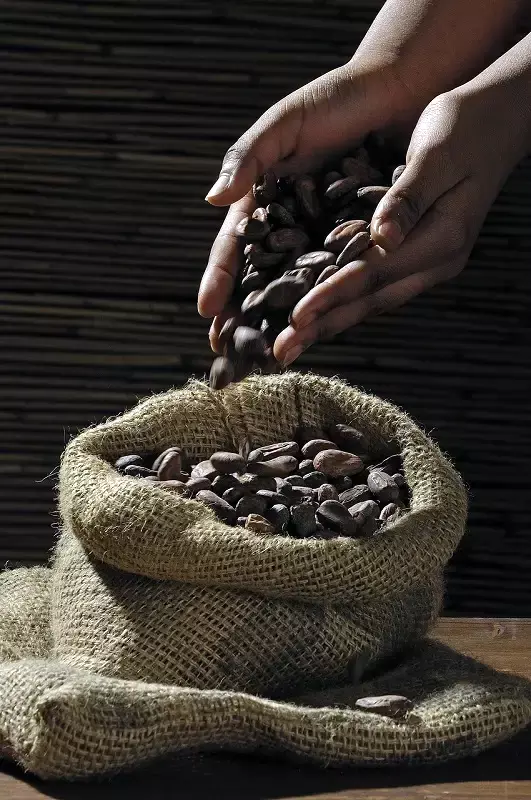 Consumir chocolate 