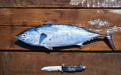 La dieta y el alzheimer: El poder de las grasas omega-3