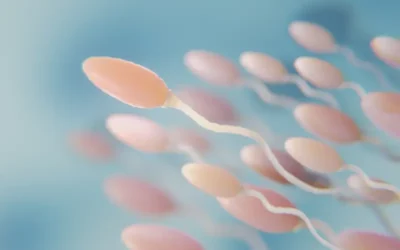 Teratozoospermia: ¿Por qué la forma del espermatozoide importa?