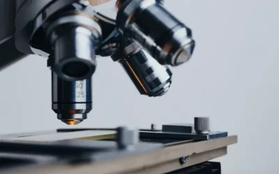 Un nuevo mundo de posibilidades: Los microARN 