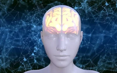 ¿Cómo evitar la muerte neuronal? | Regenerando nuestro cerebro