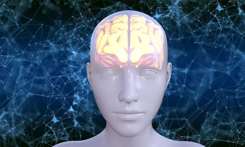 ¿Cómo evitar la muerte neuronal? | Regenerando nuestro cerebro