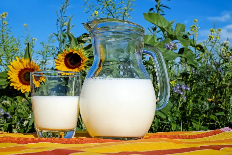 El Calostro Bovino: ¿Oro líquido o moda pasajera?