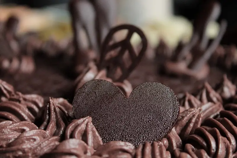 Chocolate negro… ¡Un receso para nuestra mente y paladar!