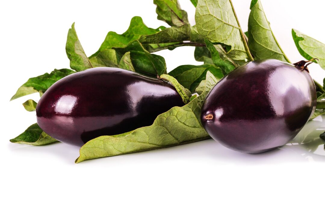 La Berenjena: Un Tesoro Morado en Tu Cocina