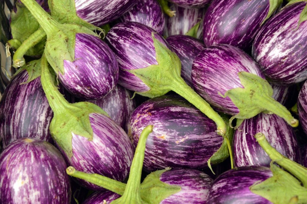 berenjena