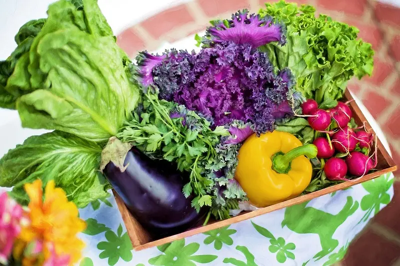 Los alimentos y nuestro ánimo