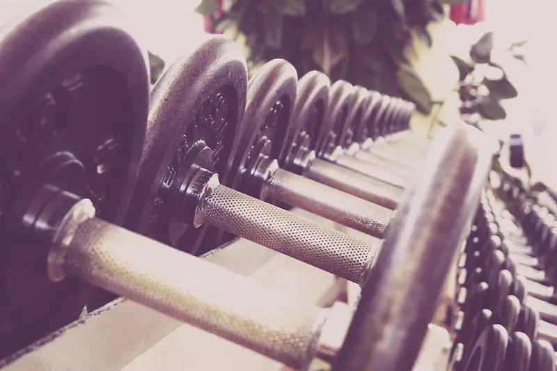 gimnasio 2025