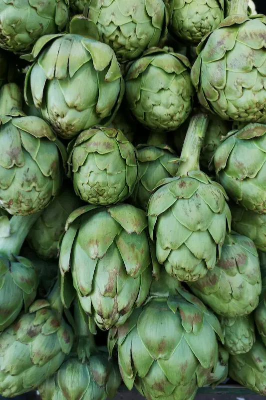 alcachofa