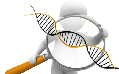 Nueva terapia génica se ensaya en España contra una afección cardíaca letal