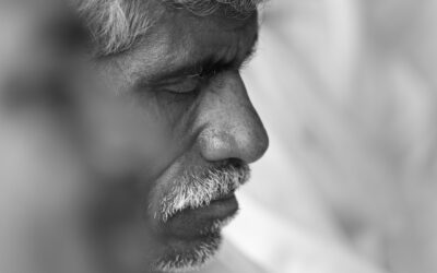 Los alimentos: El secreto de Harvard para un envejecimiento saludable