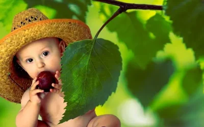 Alimentación en niños con cáncer