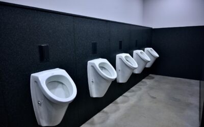 Gayuba: Un aliado natural para tu bienestar urinario