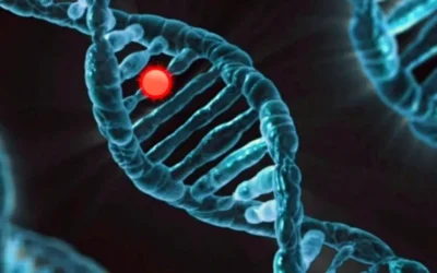 El Gen MTCH2: Clave en el Metabolismo y la Obesidad