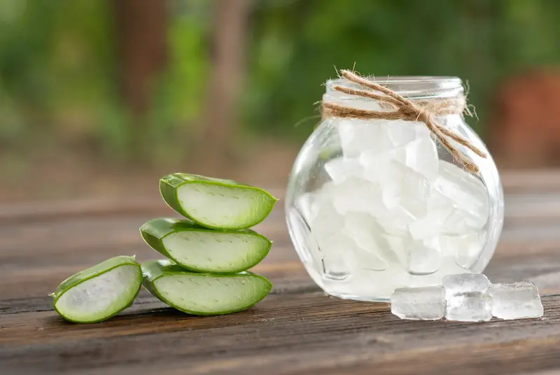 Secreto refrescante para tu piel: Cubos de hielo de aloe vera en tu rutina natural