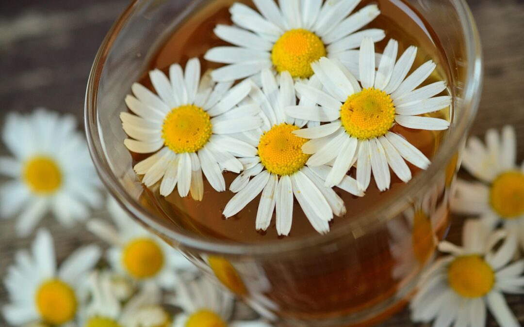 Anís y Manzanilla: una combinación natural para tu bienestar