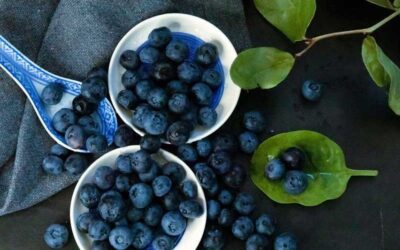 Incluir Arándanos en la Dieta: Pequeña Fruta, Grandes Beneficios