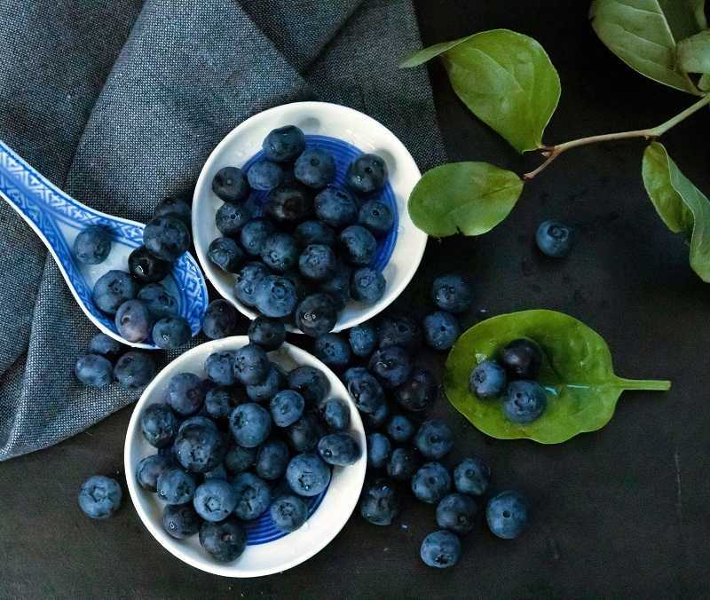 Incluir Arándanos en la Dieta: Pequeña Fruta, Grandes Beneficios