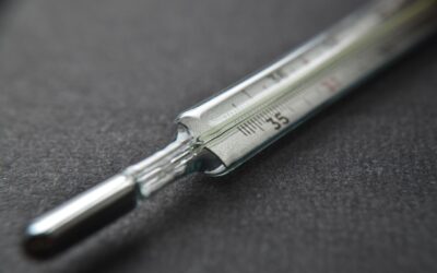 La fiebre hemorrágica de Crimea-Congo: lo que debes saber