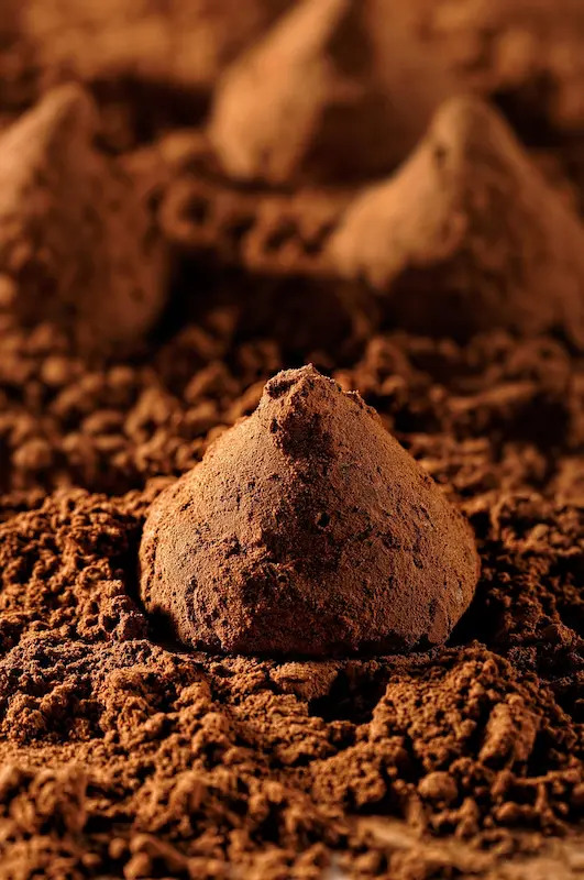 cacao