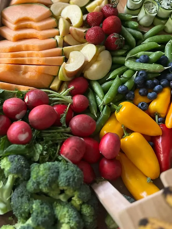 Veganismo