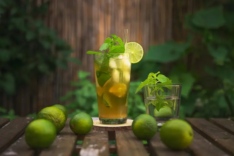 Infusiones Frías Como Alternativa