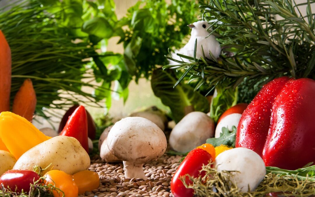 El arte del balance: Recetas que nutren y divierten