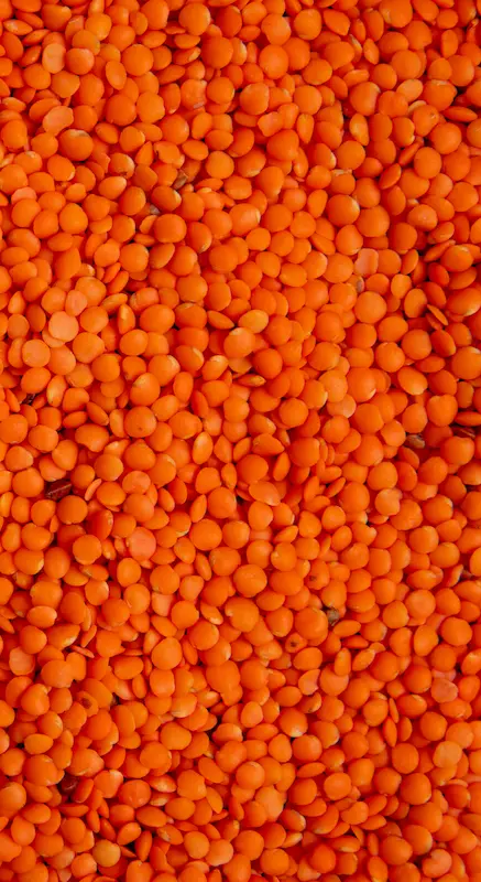 proteína 