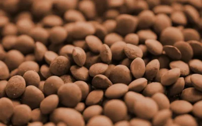 Combustible perfecto para tu cuerpo: La legumbre con más proteína para complementar tu rutina de pilates