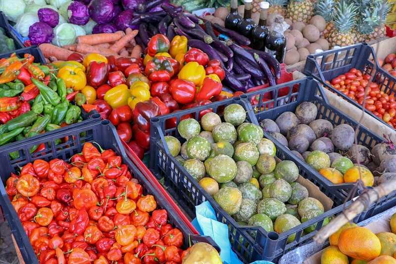 Cómo Distinguir Alimentos Ultraprocesados