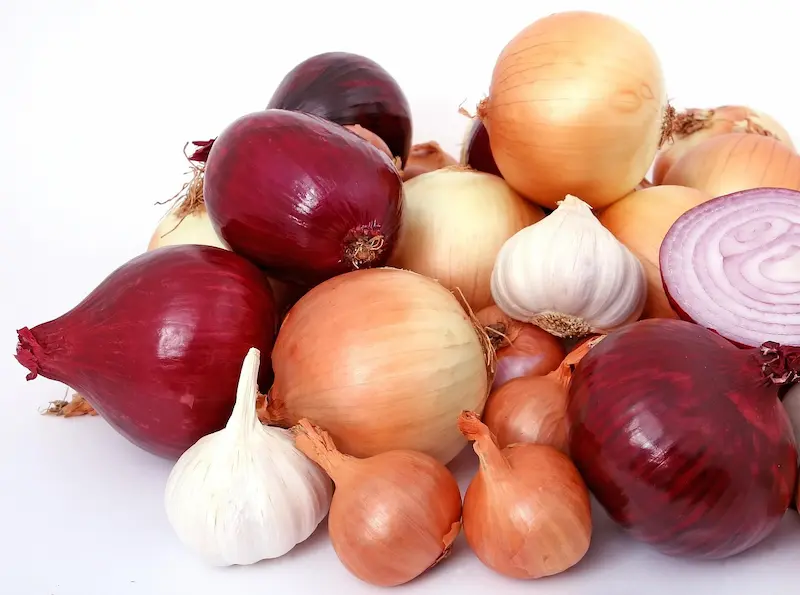 jugo de cebolla