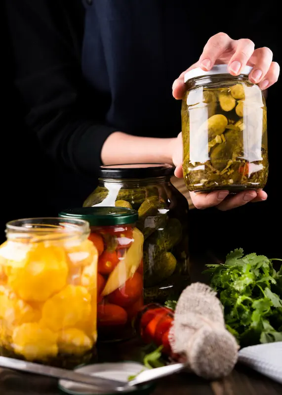 alimentos fermentados