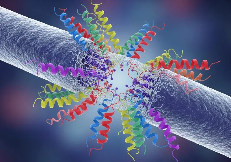 Péptidos Antimicrobianos