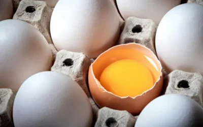 Las Proteínas: el alimento clave para potenciar tu metabolismo