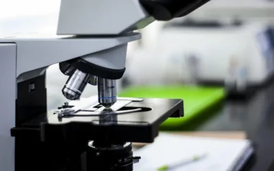 TM7: El nuevo hongo de transmisión sexual que desafía a la medicina