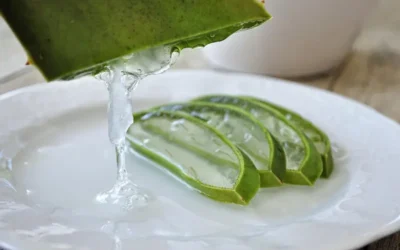 El secreto natural de la juventud: Mascarillas de aloe vera para arrugas y manchas