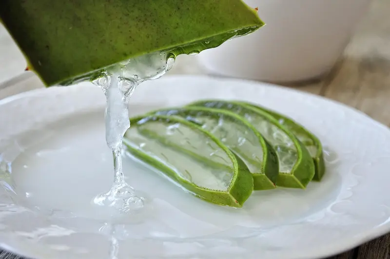 El secreto natural de la juventud: Mascarillas de aloe vera para arrugas y manchas